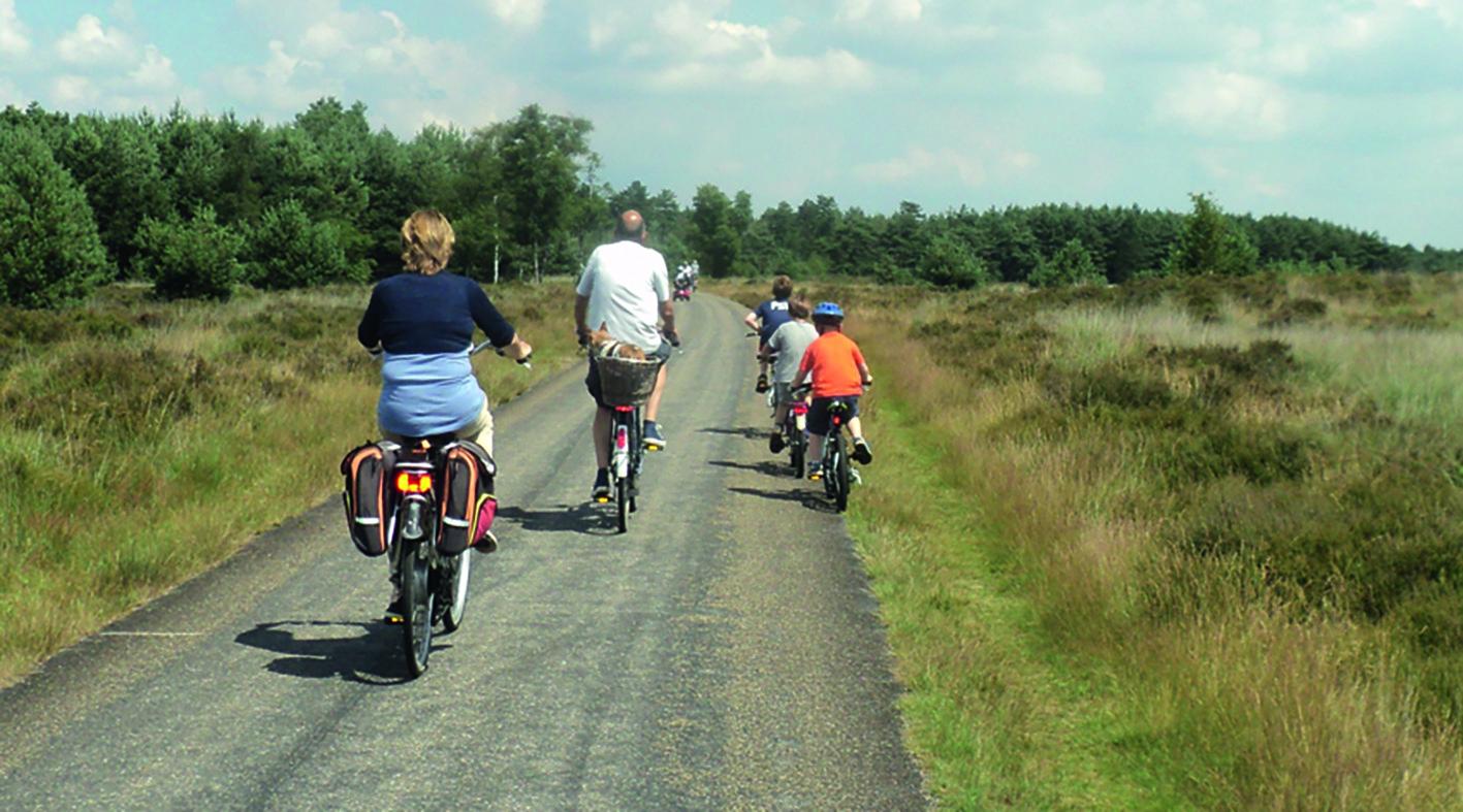 Happen En Trappen Of Themahappen Visit Heeze Leende